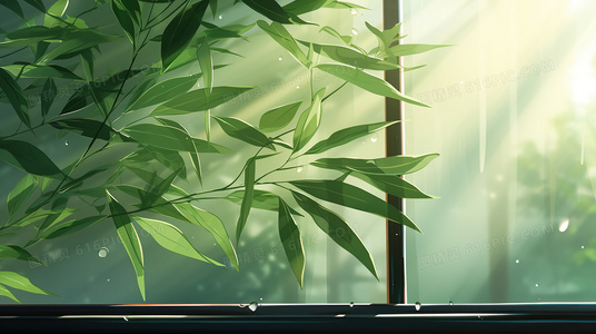 购买前必读:声优广播的幕前幕后台版价格与价值评估