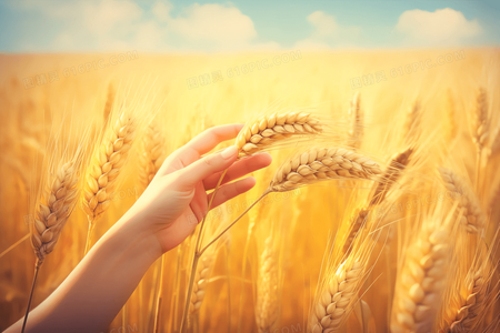 续集前瞻?舞力假期演员透露未来合作可能性