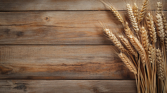 轻松治愈系日常!佐佐木与宫野第一季全网免费观看途径