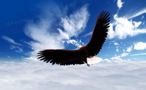 最后的魔法：如何在消亡中守护永恒永恒最后的独角兽主题探析