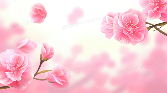 从伤膝谷大屠杀看美洲原住民的生存抗争