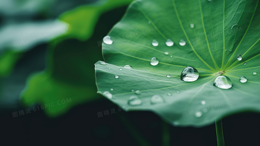 好朋友们的英语:场景化学习,沟通零障碍