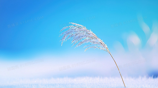 跨海追妖!奇门遁术2主角团东瀛降魔遭遇文化冲击