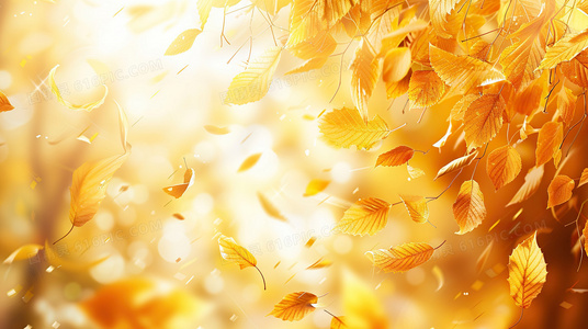 四千年前的突然死亡:城市规划与集体消失