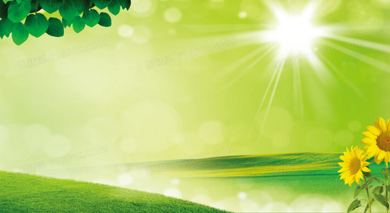 舞厅龙争虎斗国语高清完整版在线观看