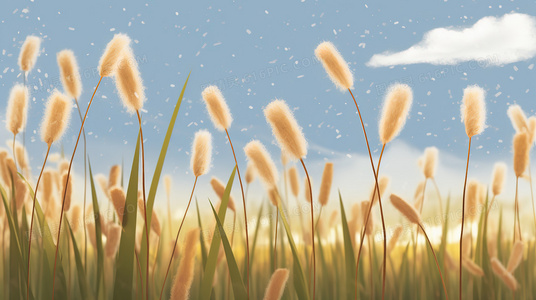 穿越山水遇见爱：电影爱在湘西全网免费观看攻略