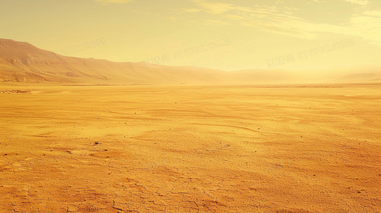 绝命时限:48小时拆弹专家的生死对决