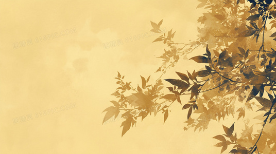 重温青谷子:为什么我们需要这样的怀旧剧?