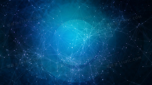 淤泥中的舞者:黑色水生昆虫的生存史诗