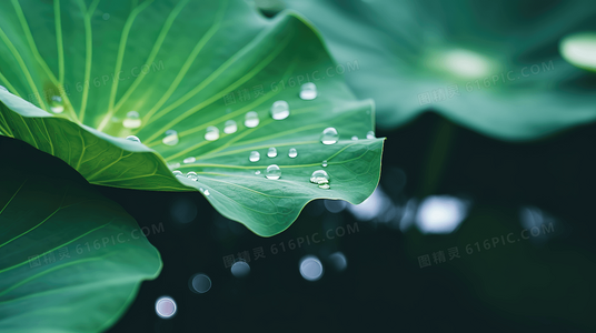 如何免费观看蒋小涵主演的青春节拍？