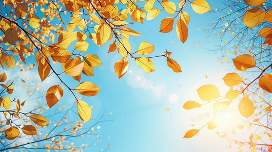 七十年代港乐记忆：那首载满缘分的巴士情歌