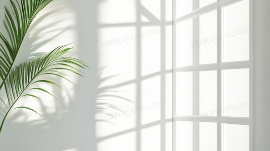 截拳道 vs 传统武术:效率与实战对比分析