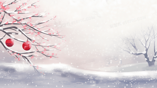 当警察只有“一半”，法律与正义该如何定义？