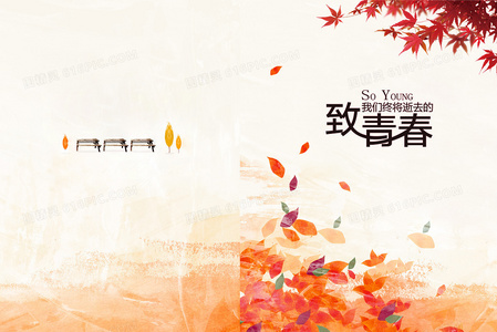 为她而驶：一场孤注一掷的自由狂奔