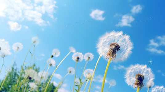 主演互动直播预告:探班2023中秋奇妙游录制现场