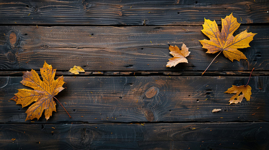 警徽之下:理想与现实的对决