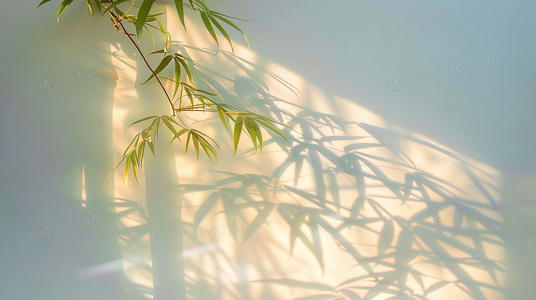 女性必备茶饮：蒲公英搭配玫瑰花，美容又舒肝