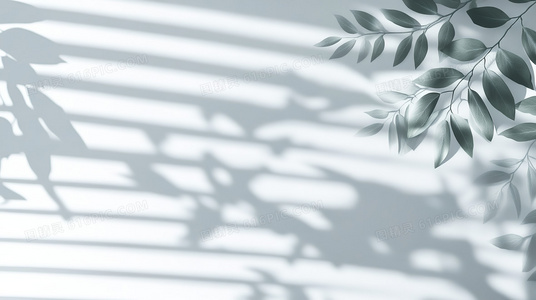 一拳破万法！物理魔法使马修第一季免费高清资源获取方式