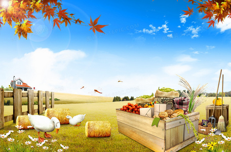 隐藏的敌人：神秘人身份大揭秘