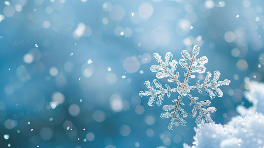 告密还是正义?美国吹哨人困境的多重解读