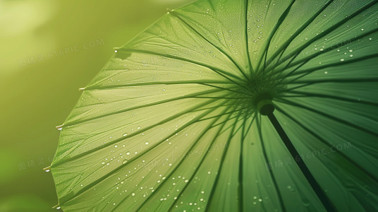 前女友们重生后，我成了终极BOSS