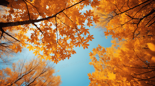 拜托了!冰箱明星冰箱大揭秘与美食创意对决