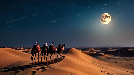 Z世代的智力突围:超机智青年大会现象观察