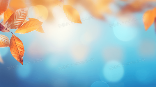 从材料到工艺：零度空间装饰工程有限公司的品质保障体系