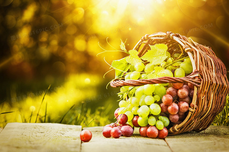 患难兄弟情2019预告片曝光：绝境求生，兄弟同心