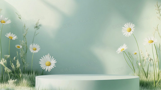 紫禁之巅与台湾:文化认同与历史渊源