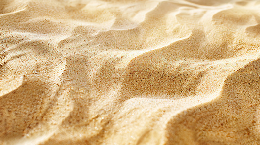 飞盘相对论：当时间在追逐中变慢的物理学