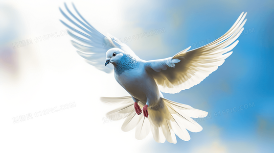 爱情守望记幕后花絮特辑：在线观看正片外的感动瞬间