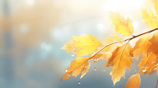 羽翼映云影，人间有清欢