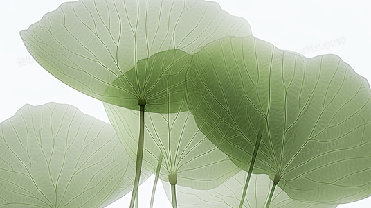 豆瓣评分4!椒麻堂会为何成为年度口碑黑马?