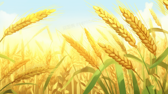 咕咕是一只猫2在线观看与下载资源汇总