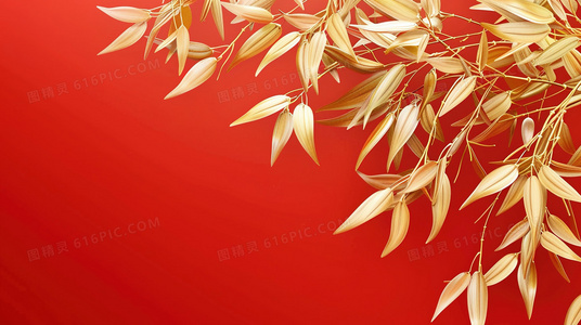 菜鸟2015:初入职场的迷茫与突破