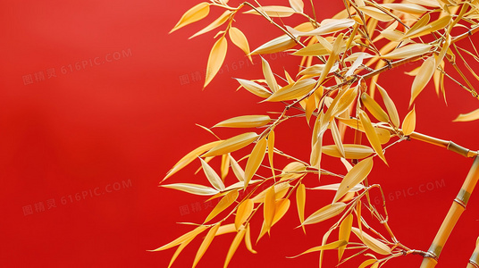 第二次机会:在破碎中寻找完整的婚姻故事