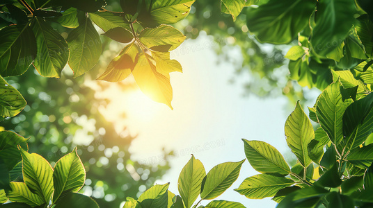 坠落画境的你:当现实成为画布,爱是唯一的出口