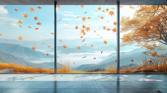 印度板球裁判员认证体系与赛场执法准则