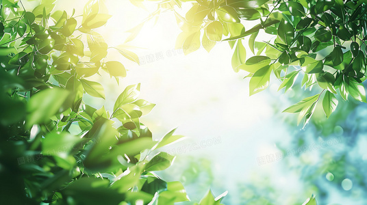 热血与羁绊!看大闹西游动漫如何演绎现代版师徒情