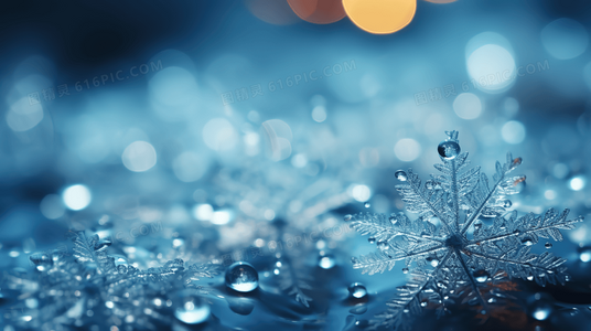 麦康纳法则：从华尔街之狼到人生赢家的蜕变