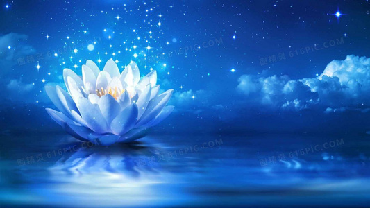 浪花下的结局:揭秘渔民的朋友最终命运