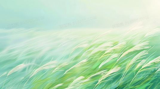 珍禽图谱:10种色彩斑斓的稀有鸟类及其栖息地