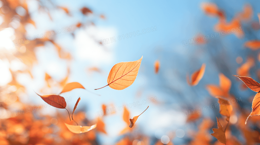 从开播到完结：雪鹰领主动漫全季回顾