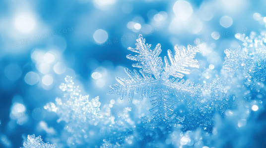 从剧本到银幕：探索有前途的年轻女子完整版的创作历程