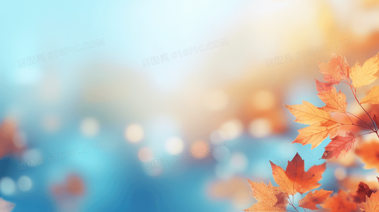 音乐与叛逆的化身：细数火爆浪子中令人难忘的角色与演员