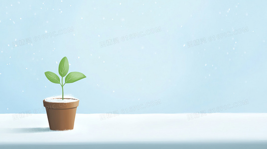 婚礼2017播出信息盘点：电视与网络平台全覆盖