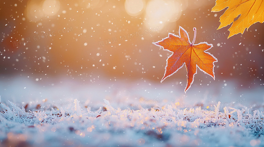 Jsport购买渠道盘点：哪里能买到正品与最新款式？