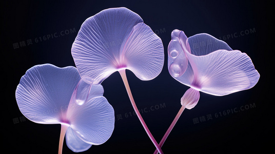 荒岛余生终极悬念:最后包裹里藏着什么?