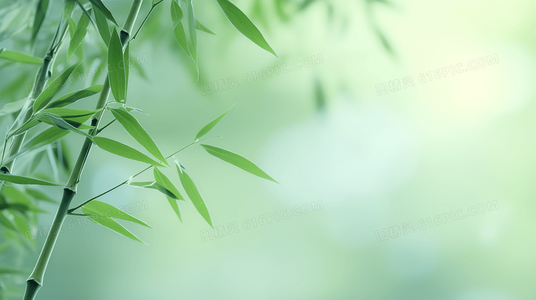 漫长的阴影迅雷：一部关于创伤与愈合的现代寓言